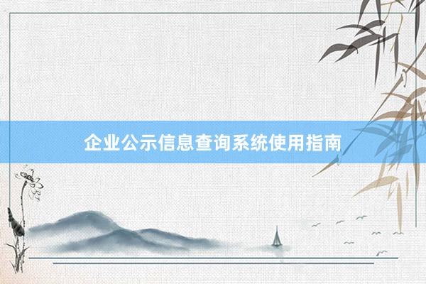 企业公示信息查询系统使用指南