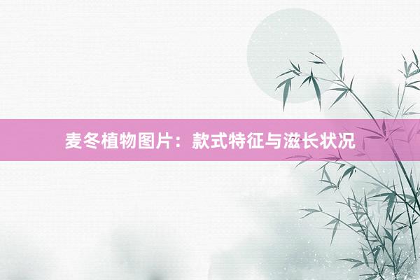 麦冬植物图片：款式特征与滋长状况