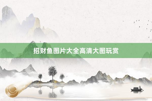 招财鱼图片大全高清大图玩赏
