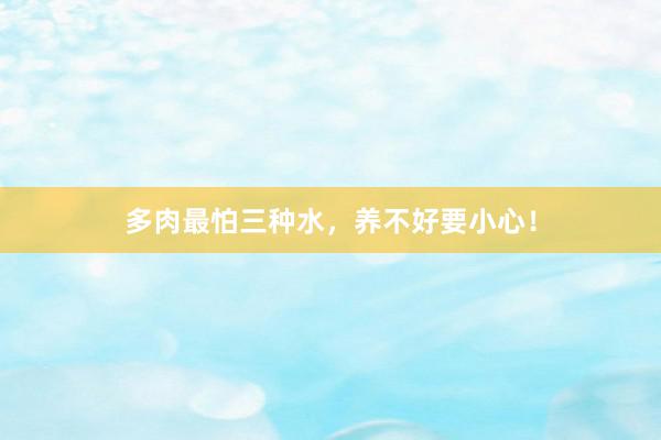 多肉最怕三种水，养不好要小心！